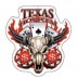 Le regole del poker Texas Hold’em o “Poker alla Texana”